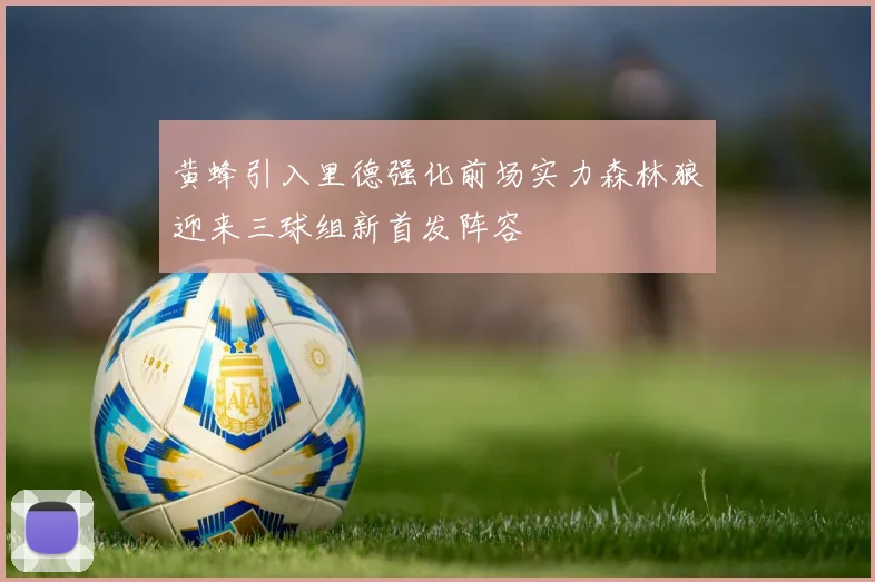 黄蜂引入里德强化前场实力森林狼迎来三球组新首发阵容